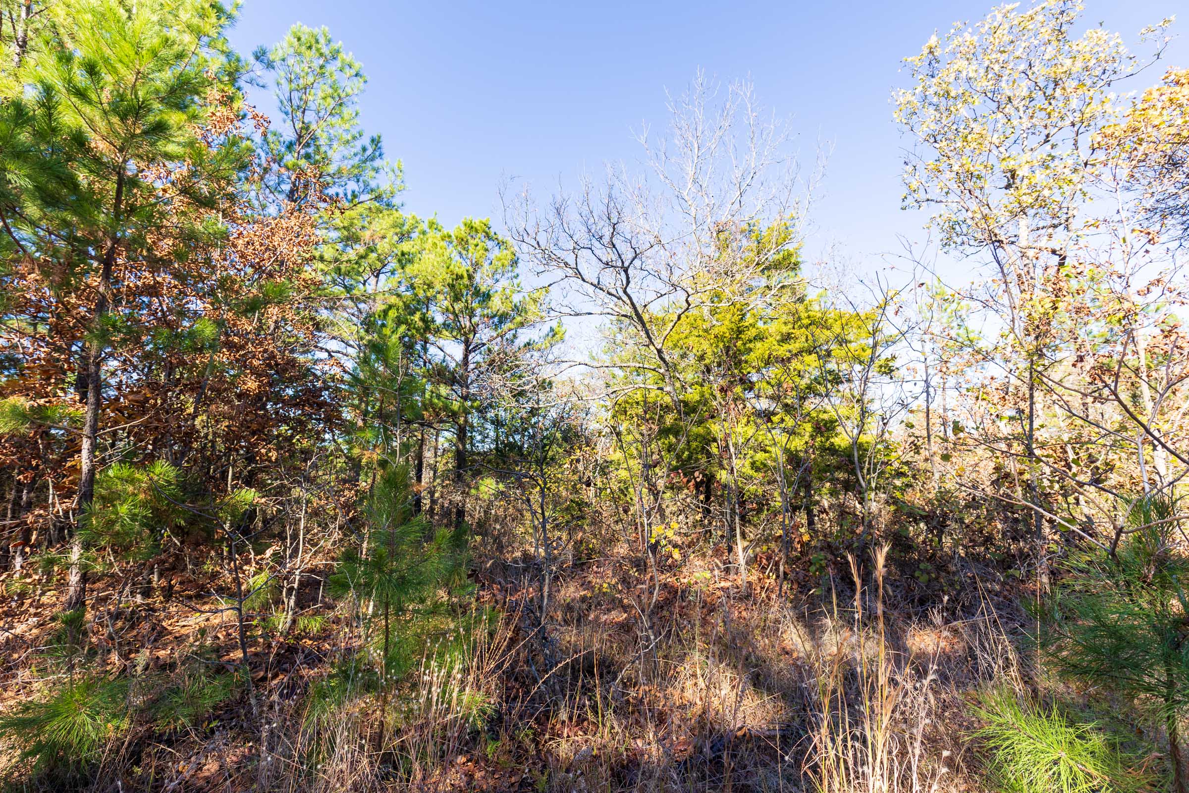 Tract 2 at Stone Bridge Reserve in LatimerHaskell County, Oklahoma