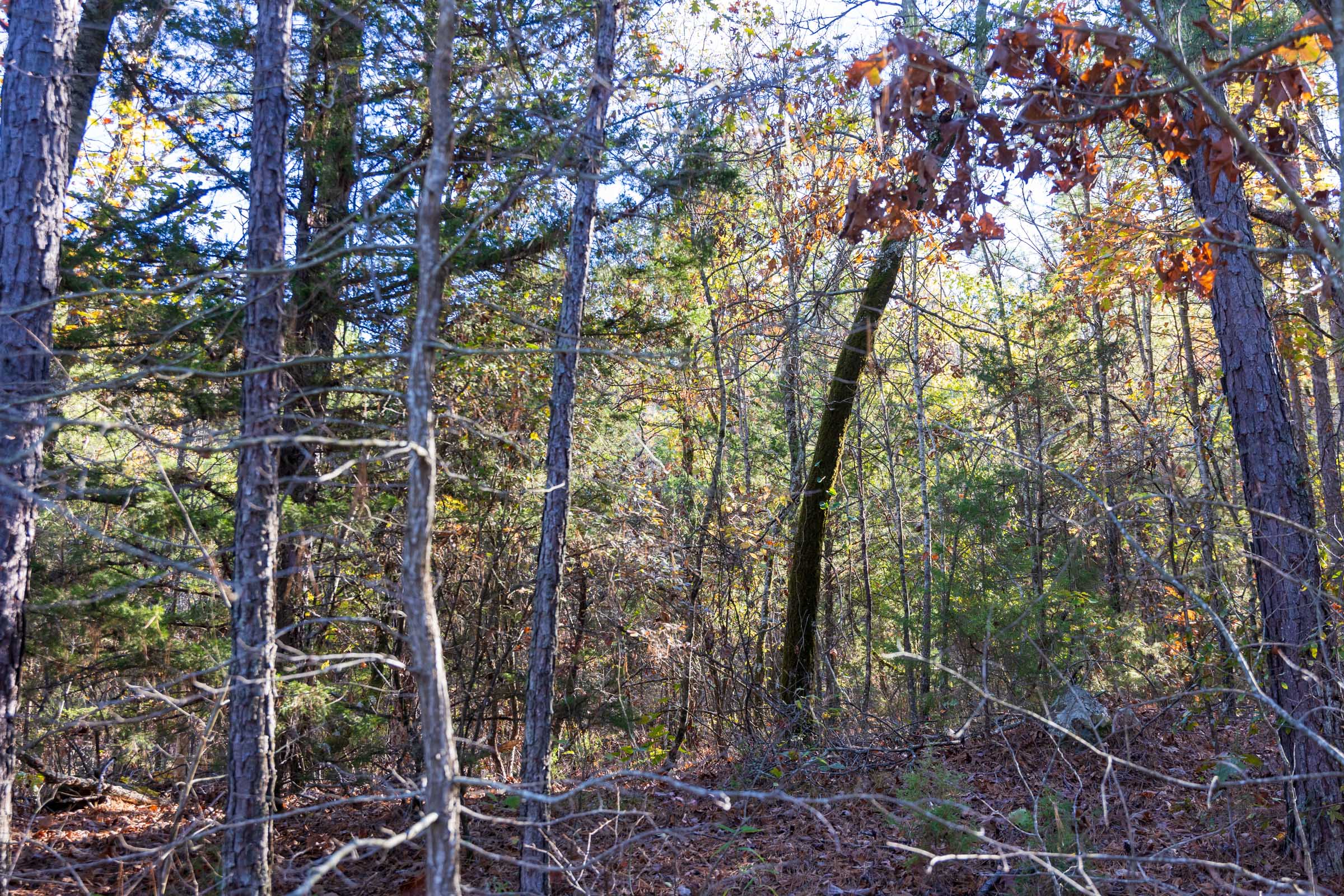 Tract 29 at Stone Bridge Reserve in LatimerHaskell County, Oklahoma