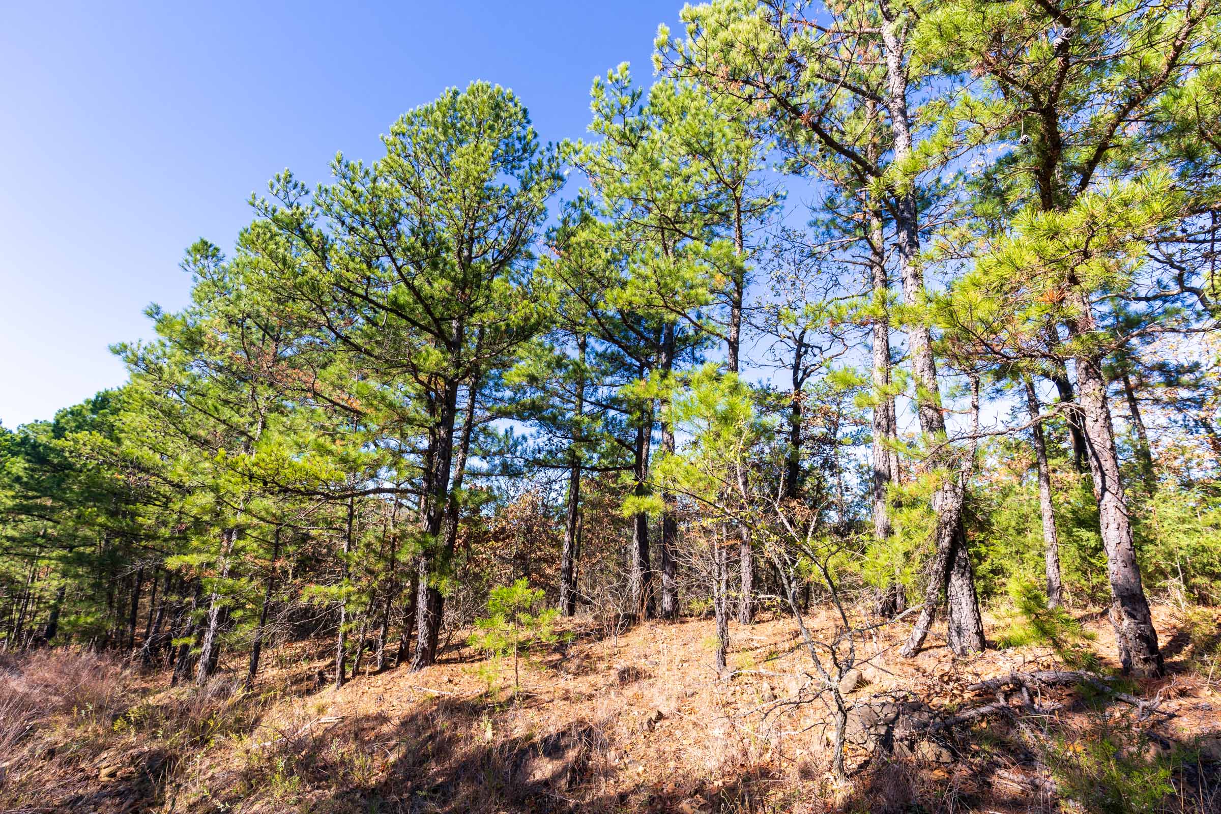 Tract 3 at Stone Bridge Reserve in LatimerHaskell County, Oklahoma