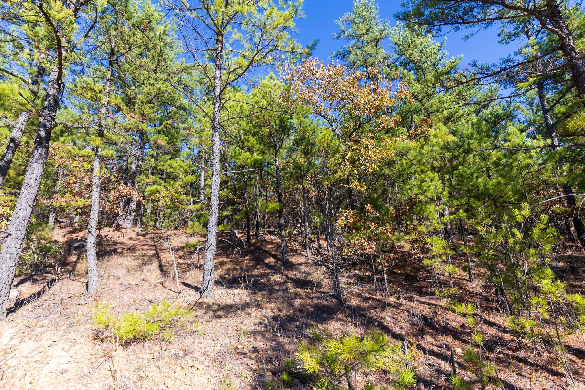 Tract 5 at Stone Bridge Reserve in LatimerHaskell County, Oklahoma