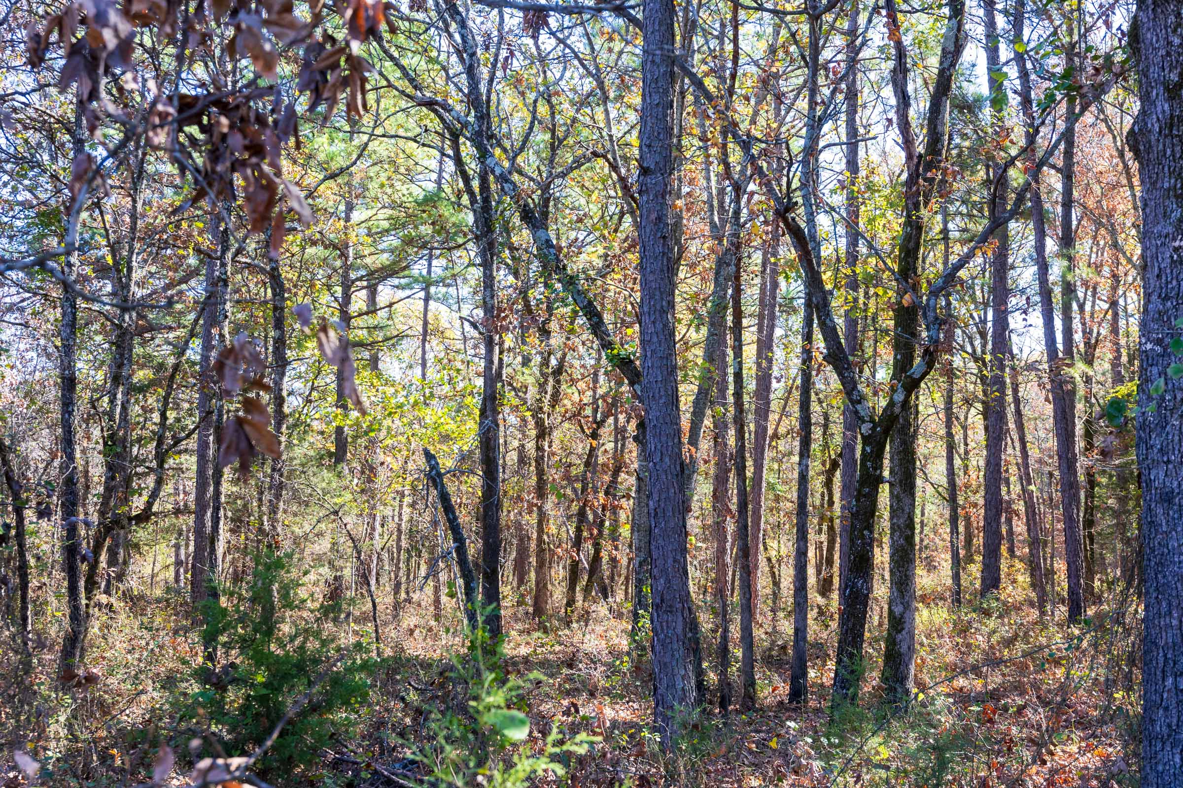 Tract 9 at Stone Bridge Reserve in LatimerHaskell County, Oklahoma